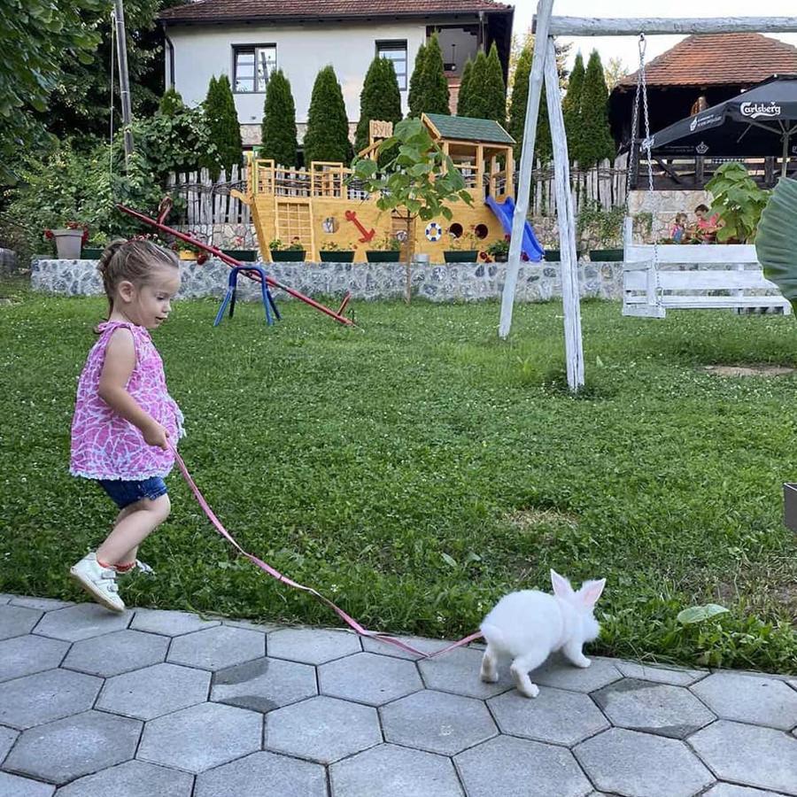Restoran,,Vuk,, Trsic Bed & Breakfast Eksteriør bilde